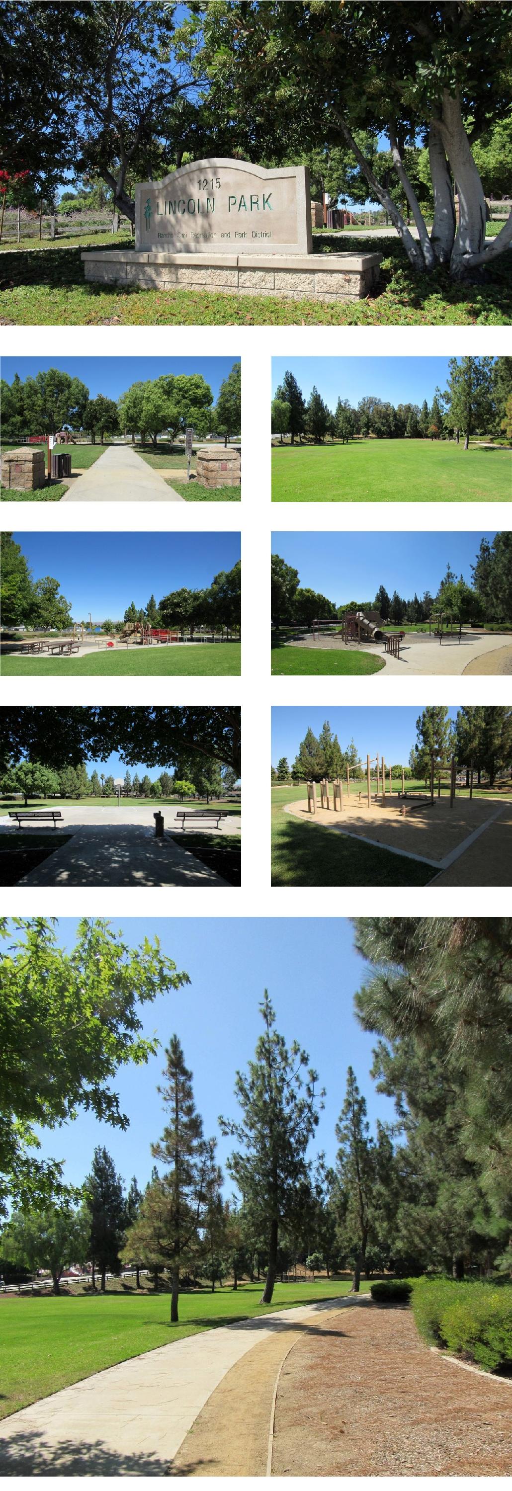 Lincoln Park Collage